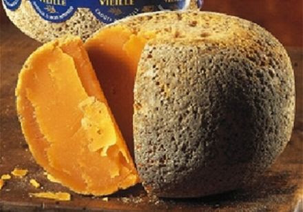 Mimollette 12 Month